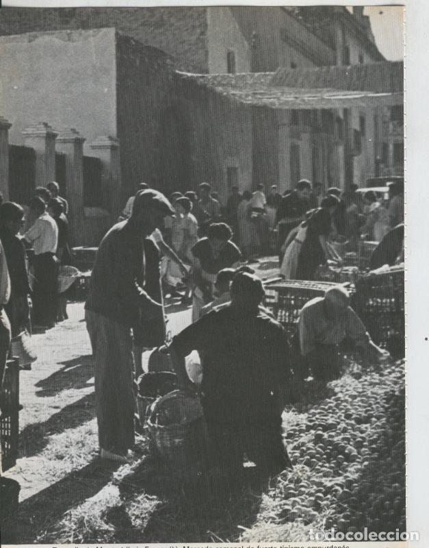 Cartes Postales: Catalu&ntilde;a y sus comarcas, fotografia numerada 13 - Varios