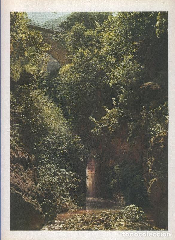 Postais: Gran Canaria: Lamina 41: Rincon tipico - Varios