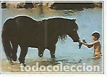 Postcards: CROMO 181 SUPERCROMOS DE FABULA: CINE EXITOSO. No 220. El corcel negro - Varios
