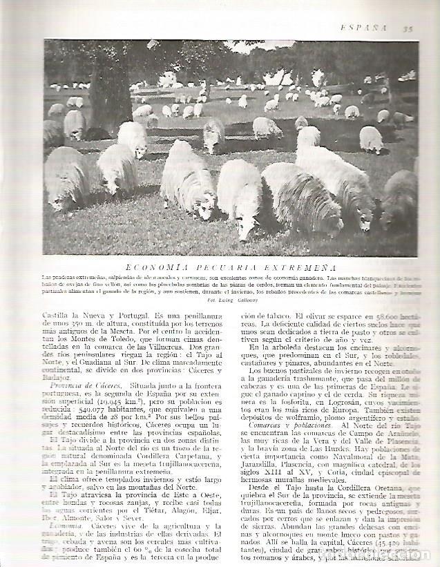 Cartoline: LAMINA 3046: ESPA&Ntilde;A. Reba&ntilde;o de ovejas en Extremadura - Ramon Otero Pedrayo