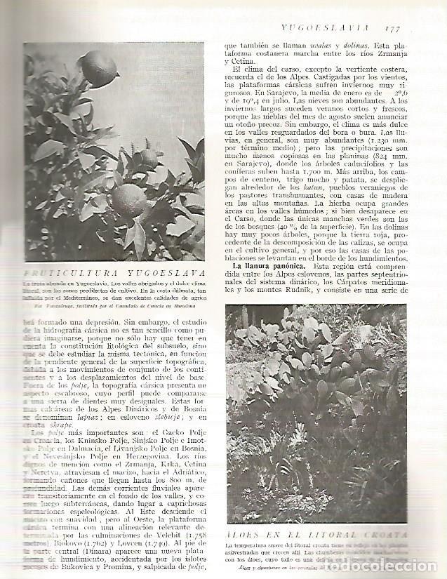 Postais: LAMINA 3130: YUGOSLAVIA. Aloes en Ragusa - Ramon Otero Pedrayo