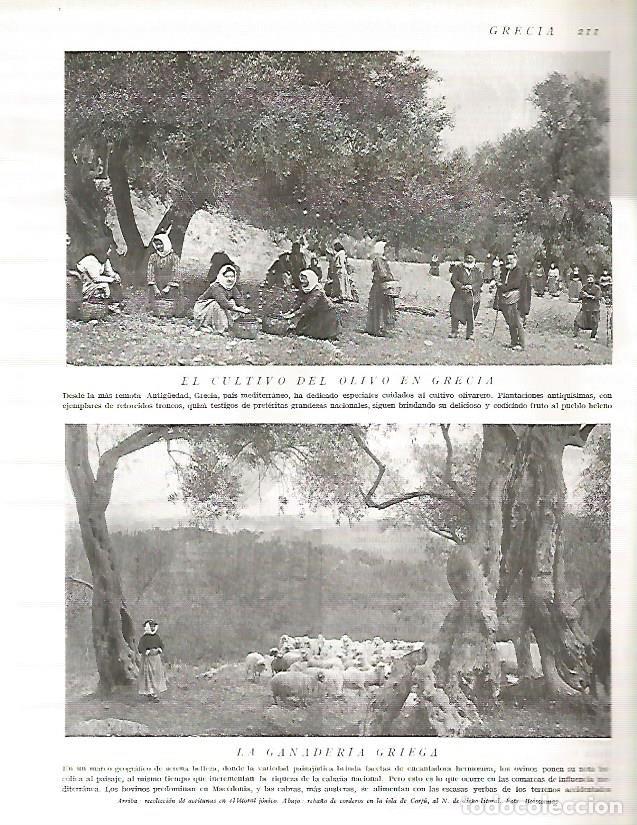 Postkarten: LAMINA 3147: GRECIA. Recoleccion de olivas en Jonia. Reba&ntilde;o de corderos en Corfu - Ramon Otero Pedra