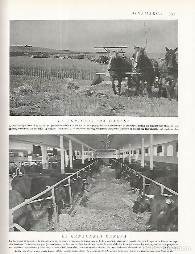 Postkarten: LAMINA 3229: DINAMARCA. Agricultura y ganaderia - Ramon Otero Pedrayo