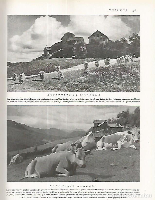 Cartoline: LAMINA 3240: NORUEGA. Agricultura y ganaderia - Ramon Otero Pedrayo