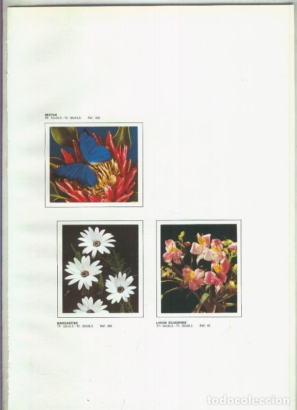 Postales: El Arte a su alcance lamina 23: Fauna y flora: Nectar, Margaritas, Lirios Silvestres - Jaime-Juan Pa