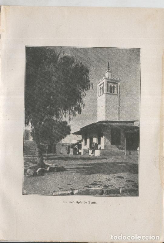 Postales: Mandolines i Babutxes lamina 09: Un reco tipic de Tunis - Varios
