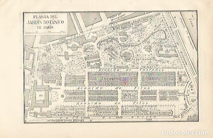 Cartoline: LAMINA ESPASA 6177: Planta del Jardin Botanico de Paris - Varios Autores