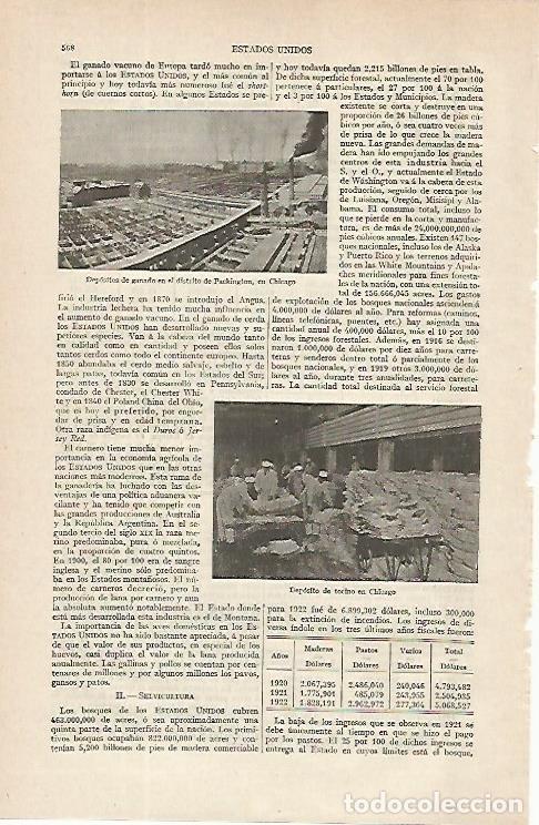 Cartoline: LAMINA ESPASA 16331: Depositos de ganado en Chicago - Varios