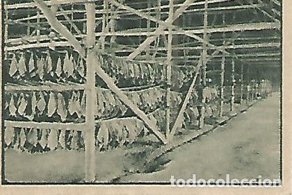 Cartes Postales: CROMO 00209 GALLINA BLANCA 2o ALBUM. Serie 85 Indonesia. Numero 6 - Varios