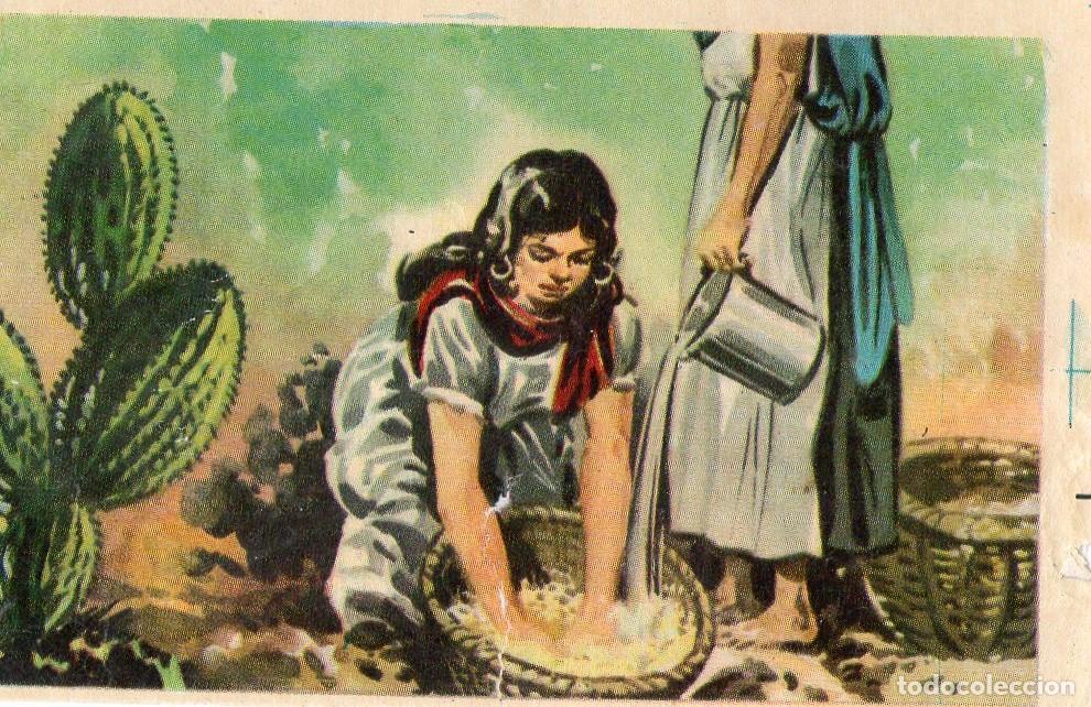 Postales: CROMO Viajando por America del Norte: Numero 274 - Varios