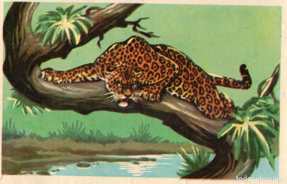 Postales: CROMO Viajando por America del Norte: Numero 96 - Varios