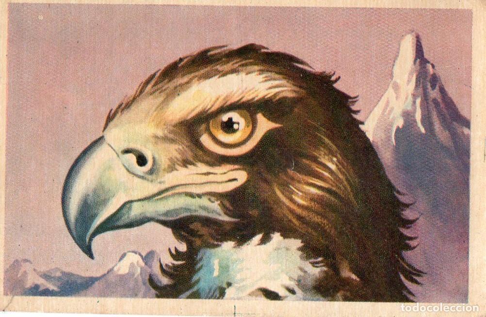 Postales: CROMO Viajando por America del Norte: Numero 104 - Varios