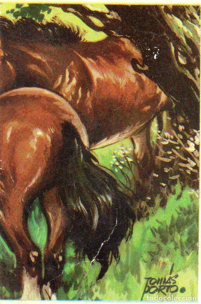 Postales: CROMO Viajando por America del Norte: Numero 57 - Varios