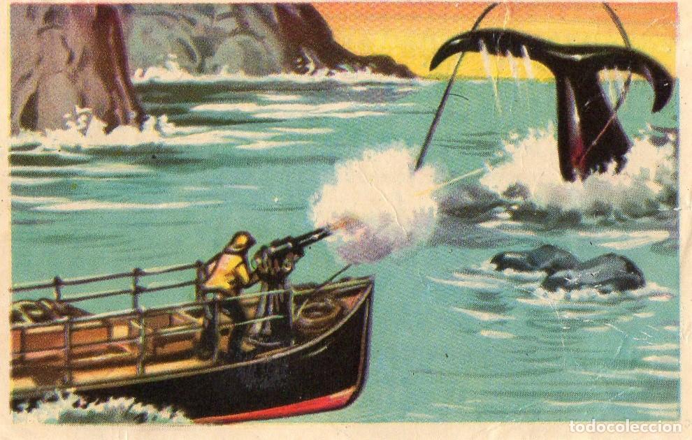 Postales: CROMO Viajando por America del Norte: Numero 62 - Varios