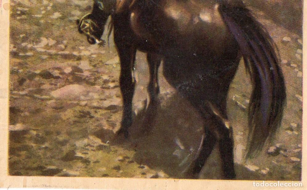 Postales: CROMO Viajando por America del Norte: Numero 160 - Varios