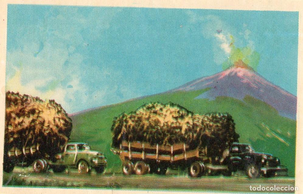 Postales: CROMO Viajando por America del Norte: Numero 250 - Varios