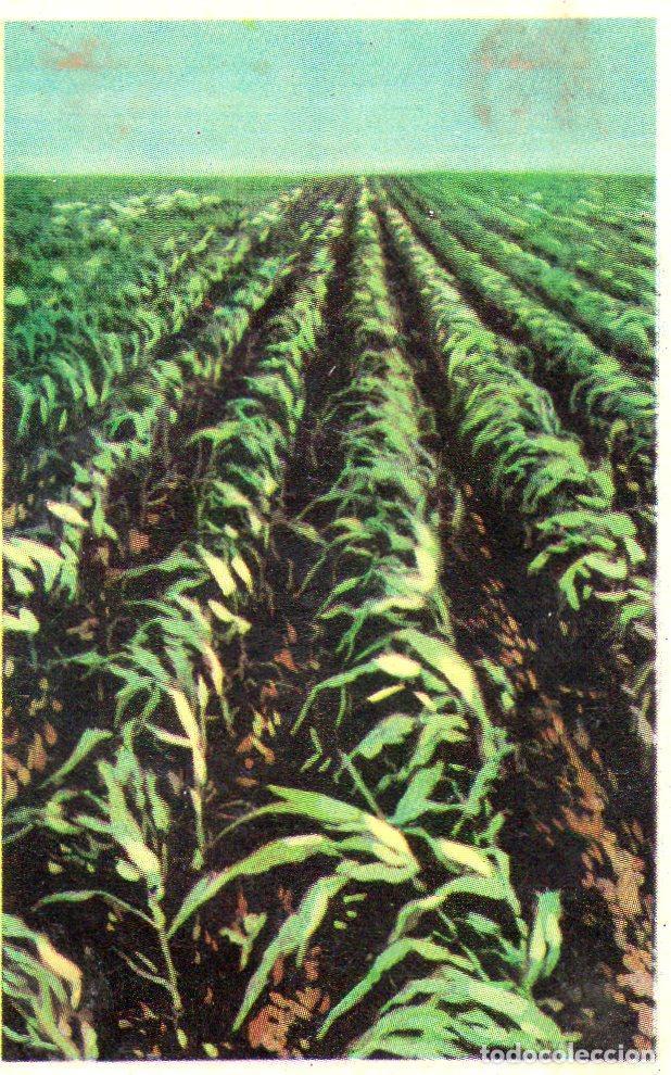 Postales: CROMO Viajando por America del Norte: Numero 164 - Varios