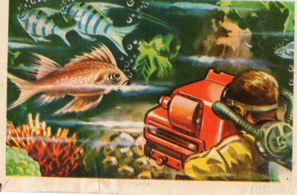 Postales: CROMO Viajando por America del Norte: Numero 176 - Varios