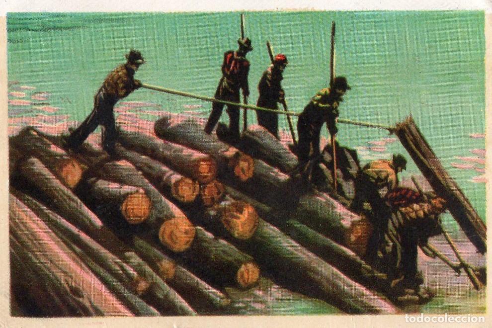 Postales: CROMO Viajando por America del Norte: Numero 60 - Varios