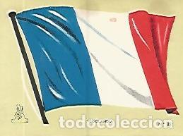 Cartoline: CROMO COLECCION UNIVERSAL 2028: BANDERA TOGOLANDIA. Numero 351 - Varios