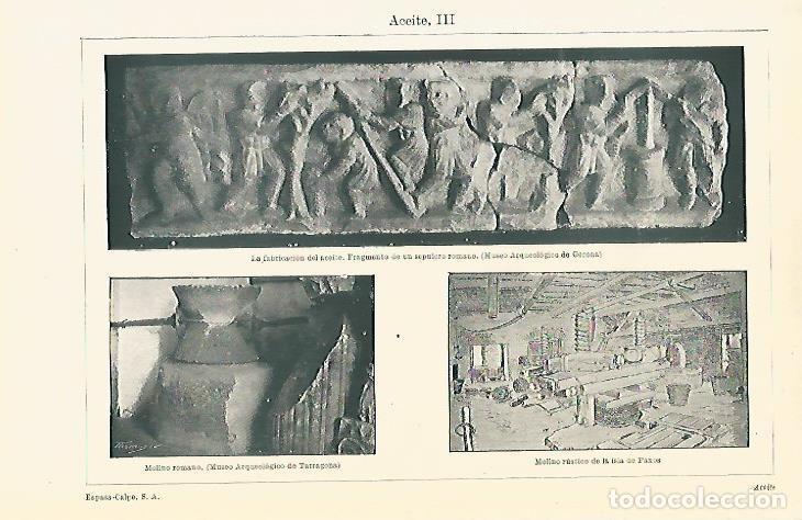 Postales: LAMINA ESPASA 8015: Molino romano en el Museo Arqueologico de Tarragona - Varios