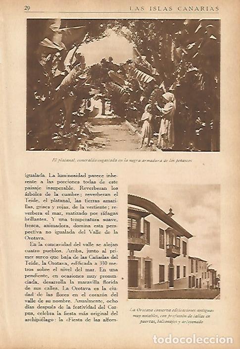 Postales: LAMINA 5450: El platanal - Jose M Benitez Toledo