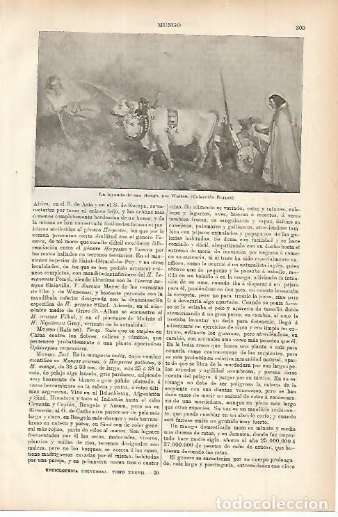 Postais: LAMINA ESPASA 11485: La leyenda de San Mungo por Walton - Varios