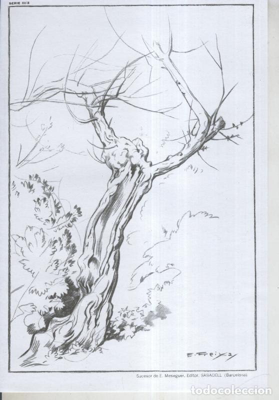 Cartoline: Emilio Freixas serie 03 lamina 02 - Varios