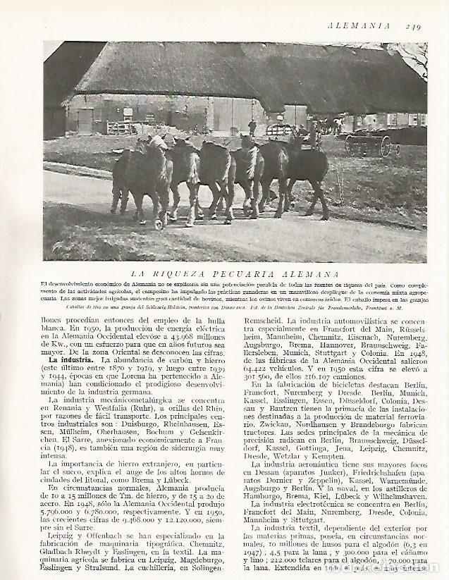 Postales: LAMINA 3170: ALEMANIA. Caballos de tiro en Schleswig-Holstein - Ramon Otero Pedrayo