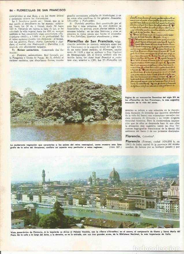 Postales: LAMINA MONITOR 0160: AMAZONAS. VISTA PANORAMICA DE FLORENCIA - Varios