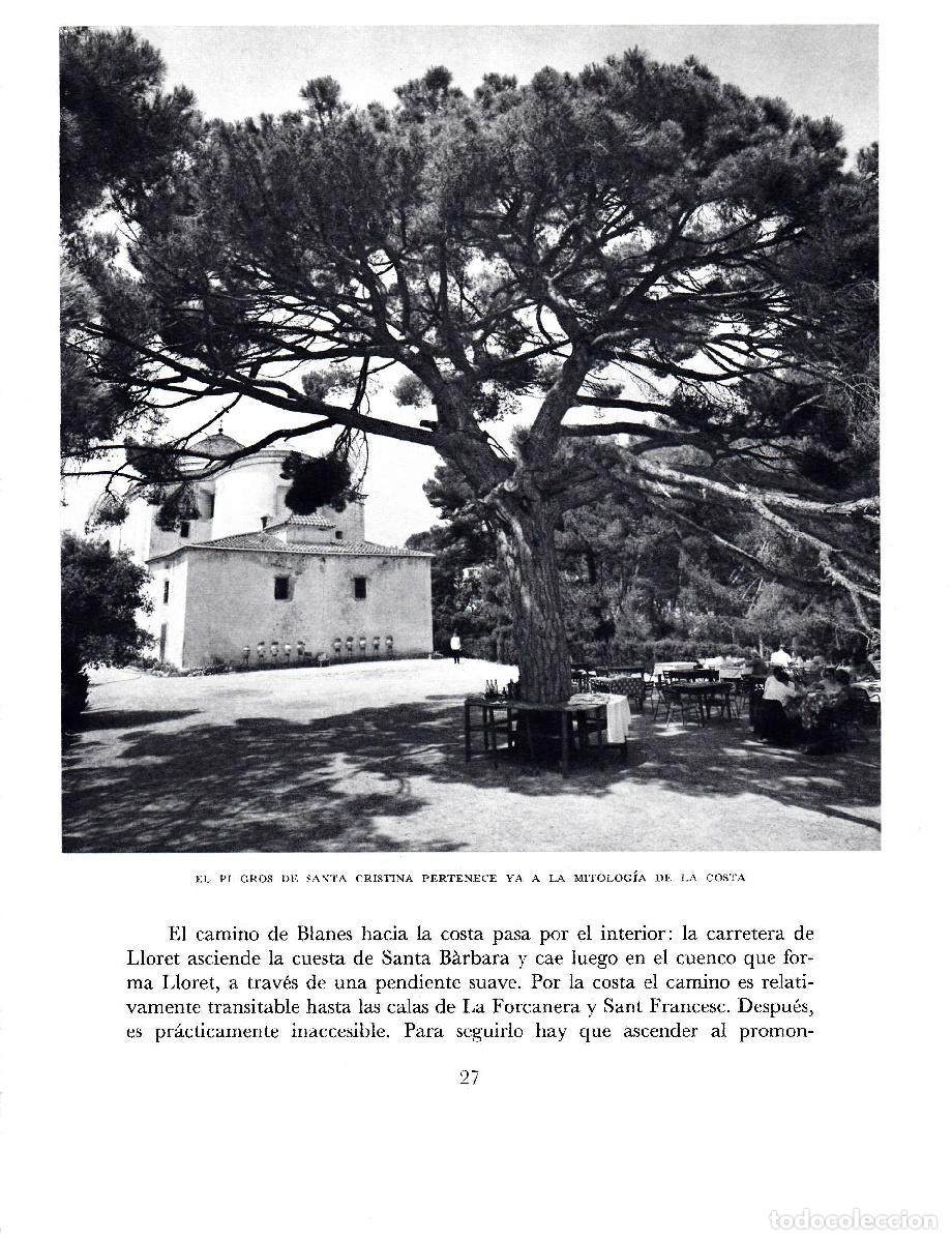 Postales: LAMINA 5650: El pi gros de Santa Cristina - Josep Pla