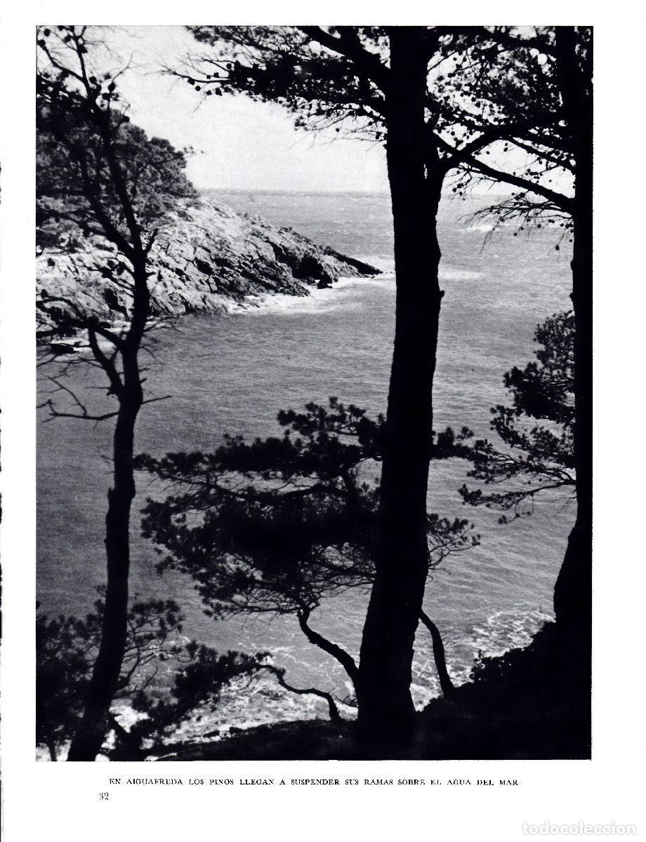 Postales: LAMINA 5760: Aiguafreda pinos sobre el ma - Josep Pla