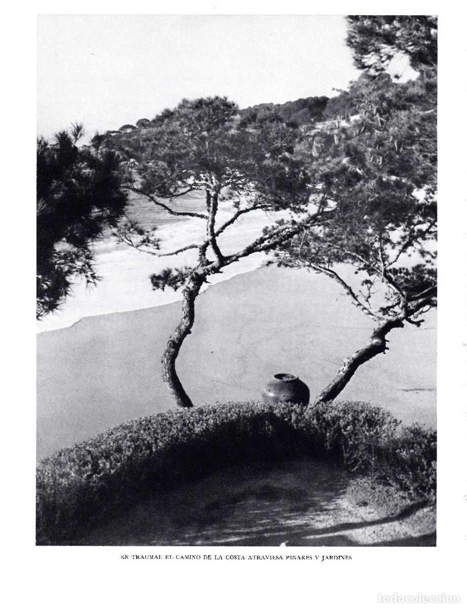 Postales: LAMINA 5691: En traumal camino costa - Josep Pla