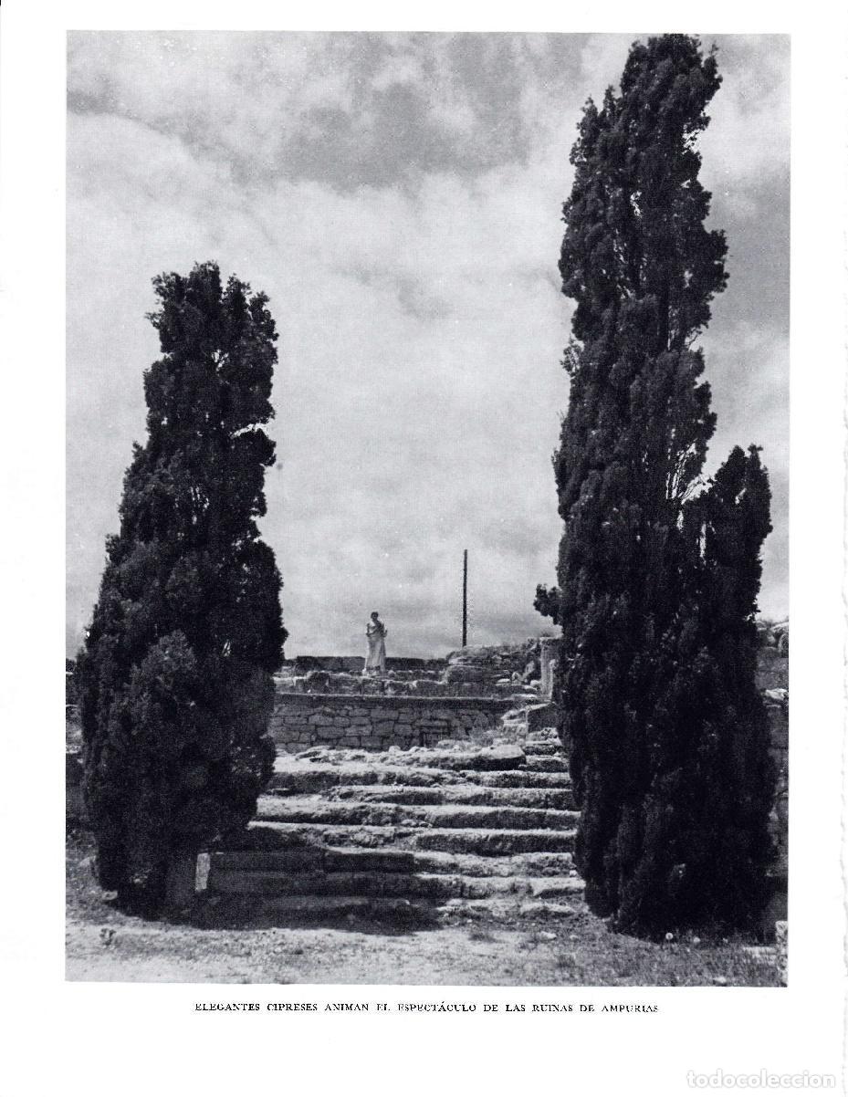 Postales: LAMINA 5787: Cipreses frete ruinas de Ampurias - Josep Pla