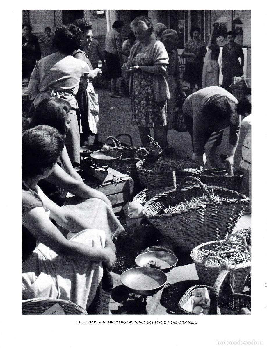Postales: LAMINA 5724: Mercado diario de Palafrugell - Josep Pla