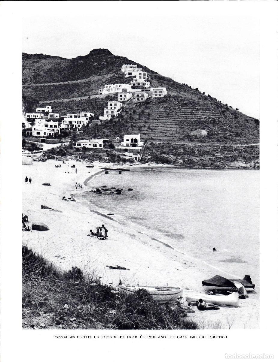 Postales: LAMINA 5807: Canyelles petites - Josep Pla