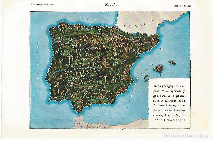 Postais: LAMINA ESPASA 10338: Mapa de la produccion agricola y ganadera de Espa&ntilde;a por Dalmau Carles Pla SA -