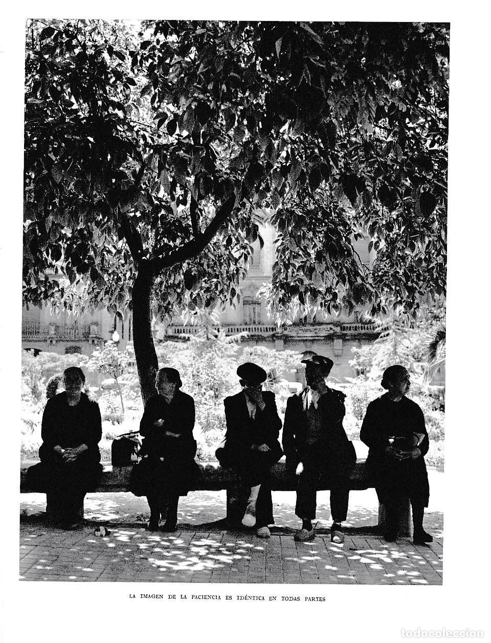 Postcards: LAMINA 5882: La imagen de la paciencia - Joan Fuster