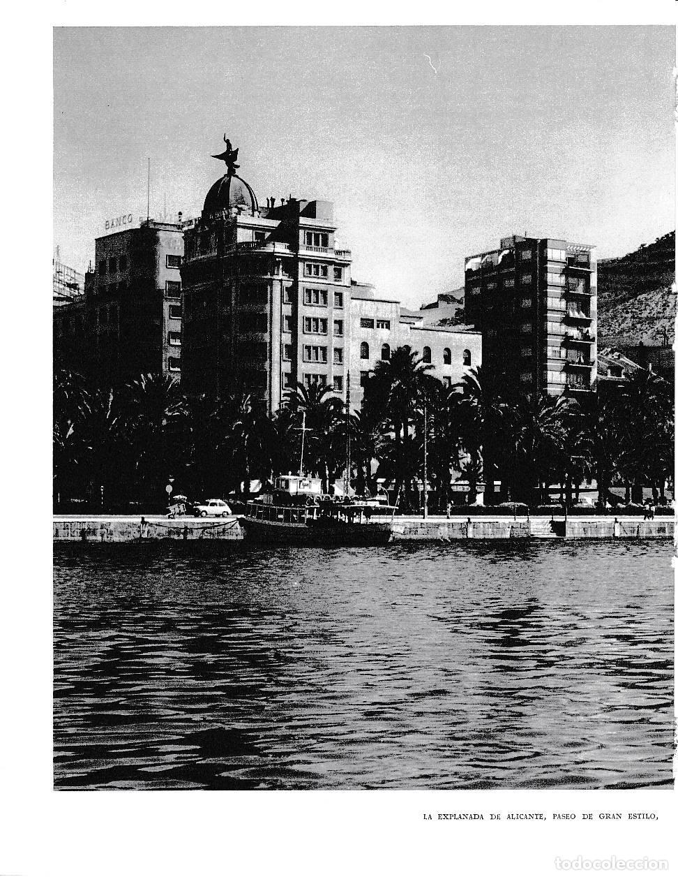 Cartoline: LAMINA 6046: La Explanada de Alicante - Joan Fuster