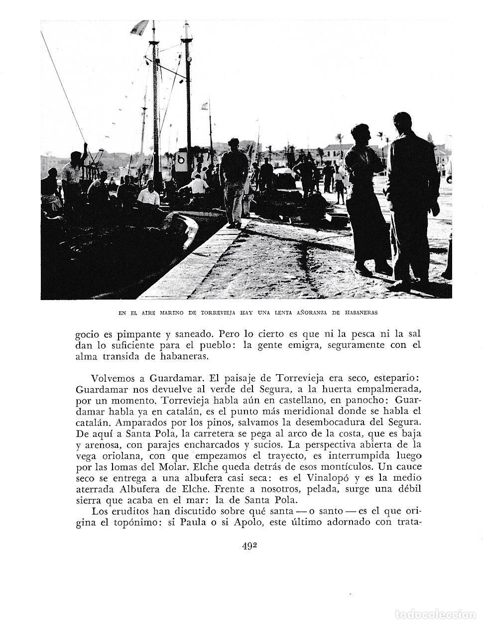 Cartoline: LAMINA 6076: Torrevieja a&ntilde;oranza a las habaneras - Joan Fuster