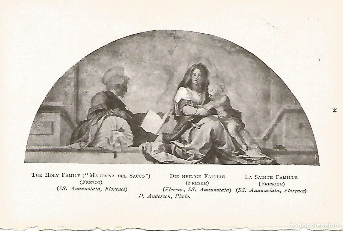 Postales: Lamina 753:ANDREA DE SARTO. Madonna del Sacco - Varios