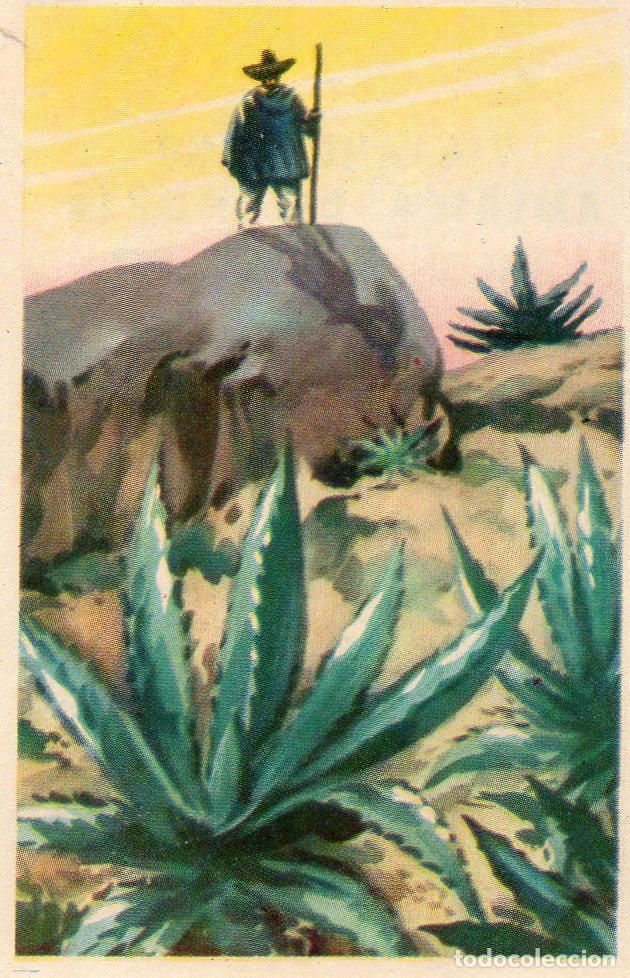 Postales: CROMO Viajando por America del Norte: Numero 234 - Varios