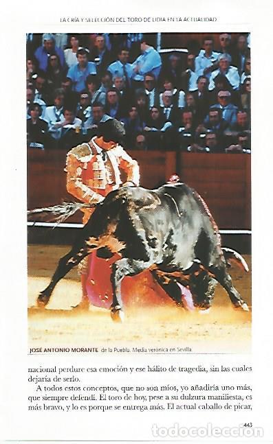 Postales: LAMINA COSSIO 50832: Morante de la Puebla en Sevilla - Varios
