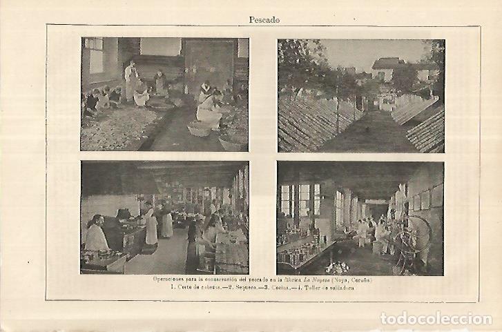 Postcards: LAMINA ESPASA 18107: Fabrica La Noyesa en La Coru&ntilde;a - Varios