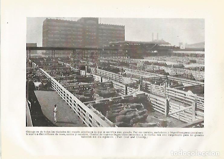 Postkarten: LAMINA GEOGRAFIA 0208: Mercado de abastecimiento de Chicago Estados Unidos - Ricardo Beltran y Vicen