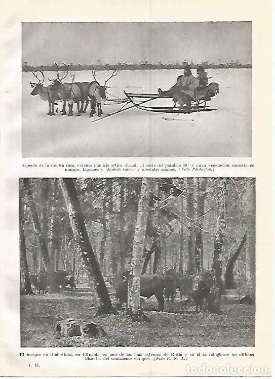 Postcards: LAMINA GEOGRAFIA 0351: Tundra rusa y bosque de Bialowicza en Laponia - Ricardo Beltran y Vicente Ver
