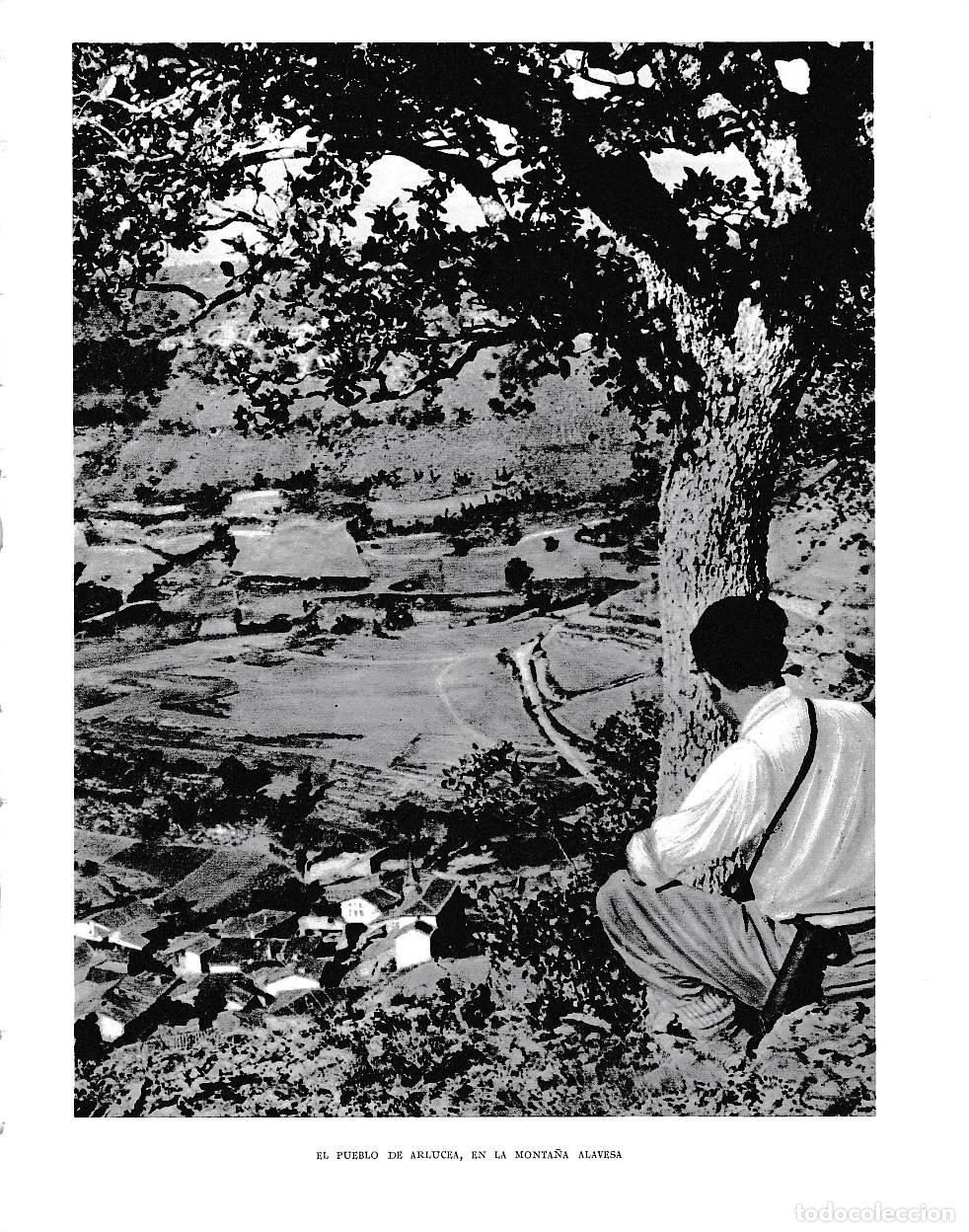 Cartoline: LAMINA 6110: Arlucea - Pio Baroja