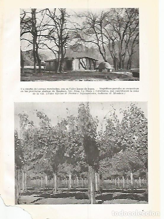 Postales: LAMINA GEOGRAFIA 0299: Rancho y parrales de Mendoza Argentina - Ricardo Beltran y Vicente Vera