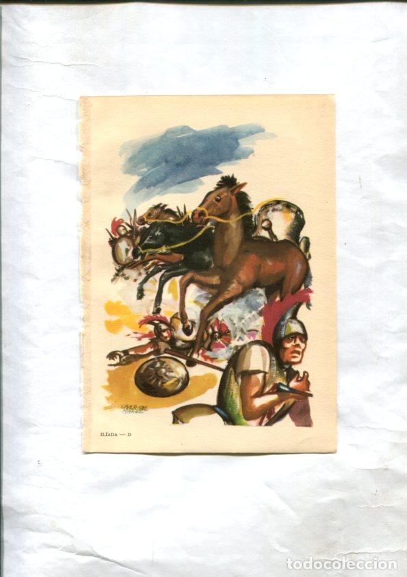 Cartoline: Luis Bernal lustracion a color numerada 4 - Luis Bernal