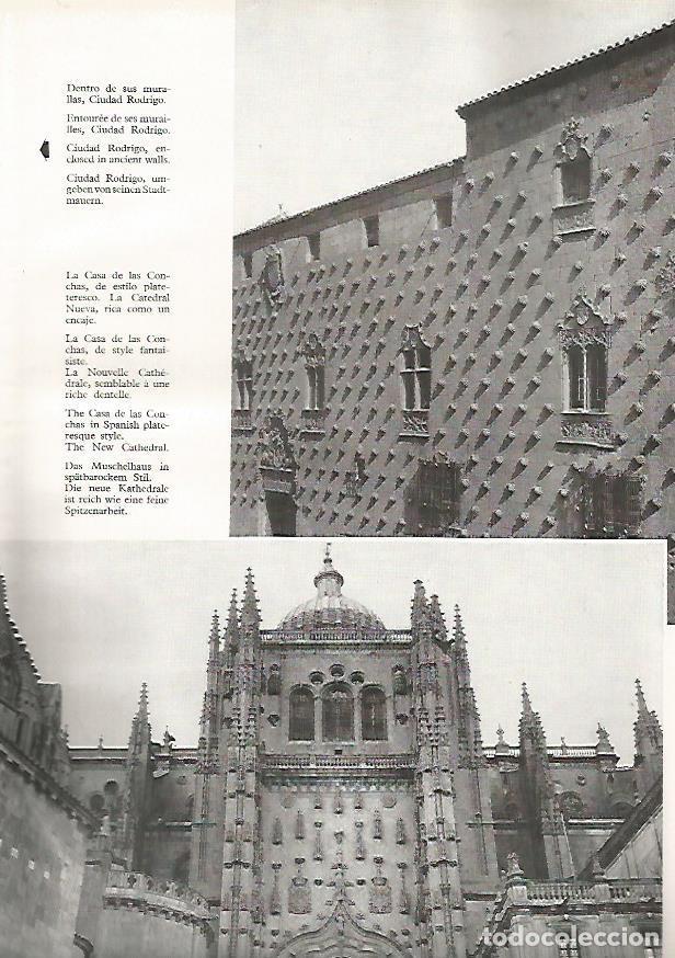 Postkarten: LAMINA 4992:SALAMANCA CASA DE LAS CONCHAS - Jaime Ministral Masia